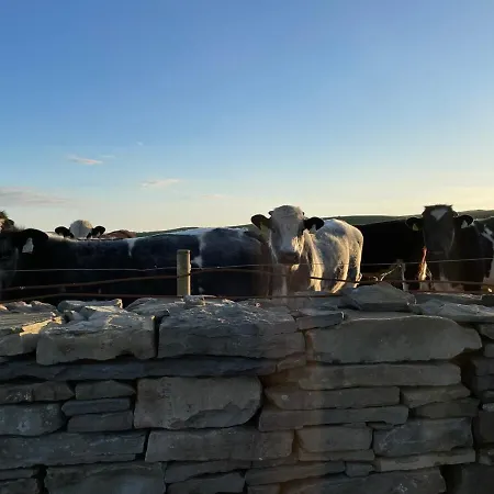 شقة Dun Aengus On The Cliffs Of Moher ليسكانور