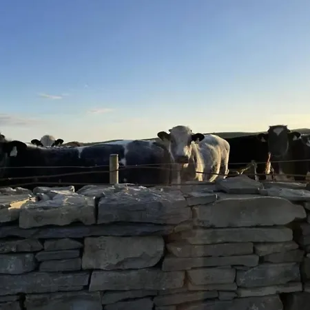 Dun Aengus On The Cliffs Of Moher