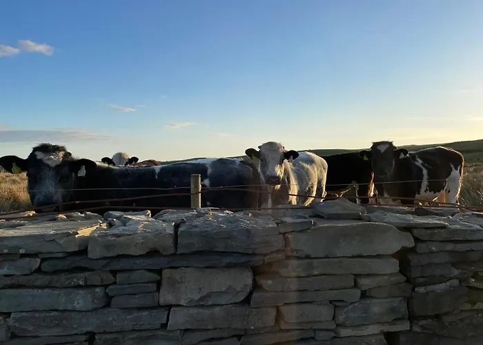 Apartman Dun Aengus On The Cliffs Of Moher Liscannor